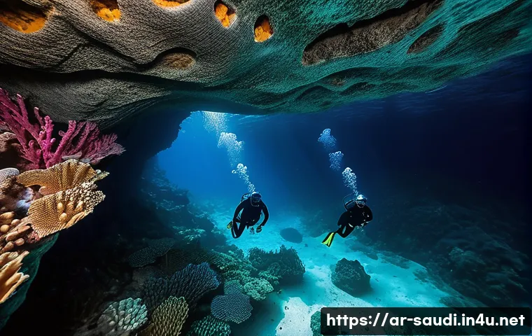 제다의 홍해 연안과 다이빙 스팟 관련 이미지 1