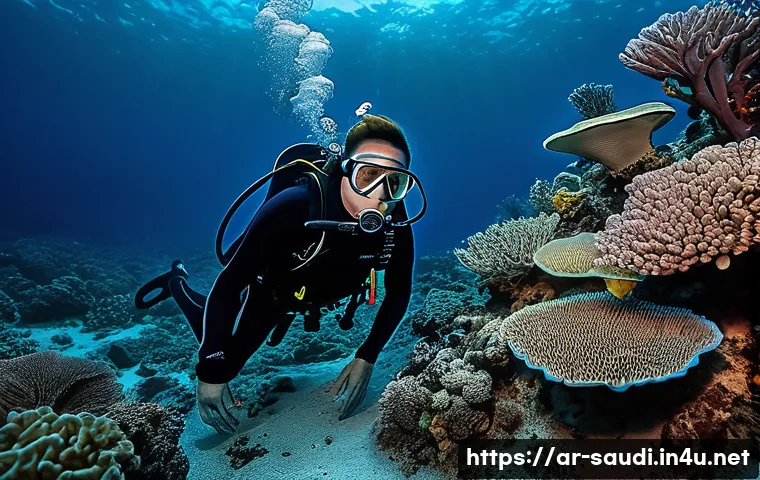 제다의 홍해 연안과 다이빙 스팟 관련 이미지 2